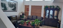 Plano Condo,2B 2.5B 整租,新装修,一年以