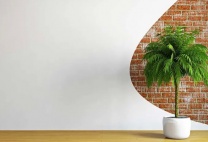 * 诚聘︱仓库全职员工（长期稳定） 达拉斯